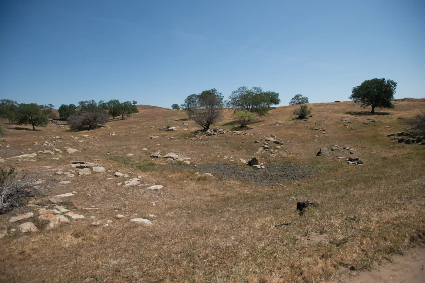 The dry, cracked bottom of a former stock pond on a California ranch after four years of drought, with parched rangeland and scattered oaks beyond