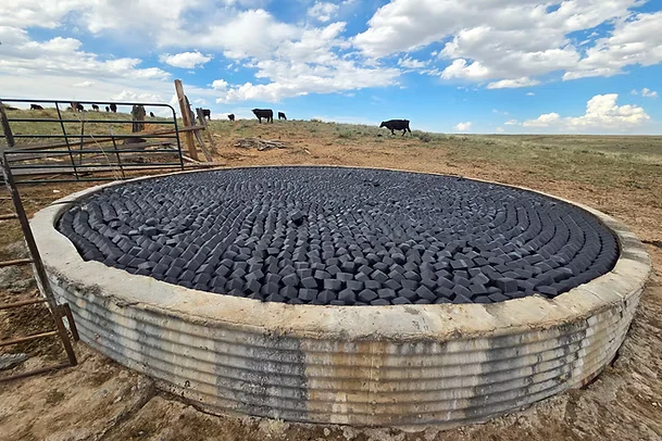 Ranch stock tank fully covered with modular floating cover units, with beef cattle grazing on open rangeland behind it under a summer sky