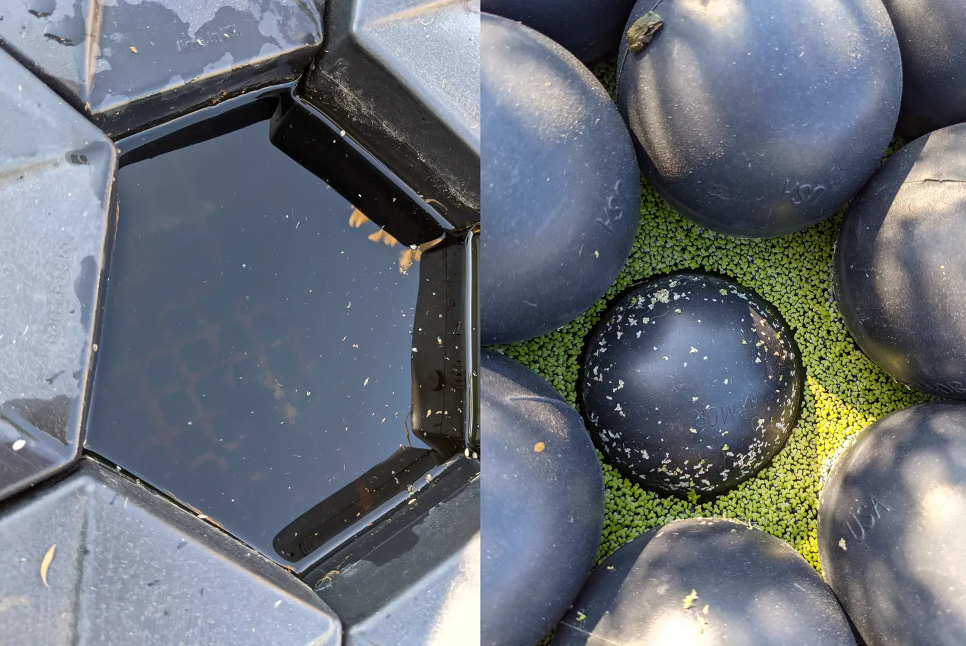 Side-by-side comparison of green algae-laden water beside a Hexprotect AQUA covered surface that blocks sunlight